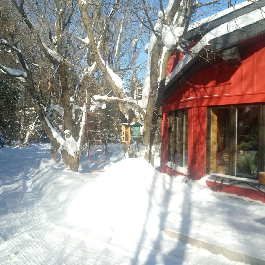 The Retreat House Blue Mountain Ξενοδοχείο Blue Mountains Εξωτερικό φωτογραφία