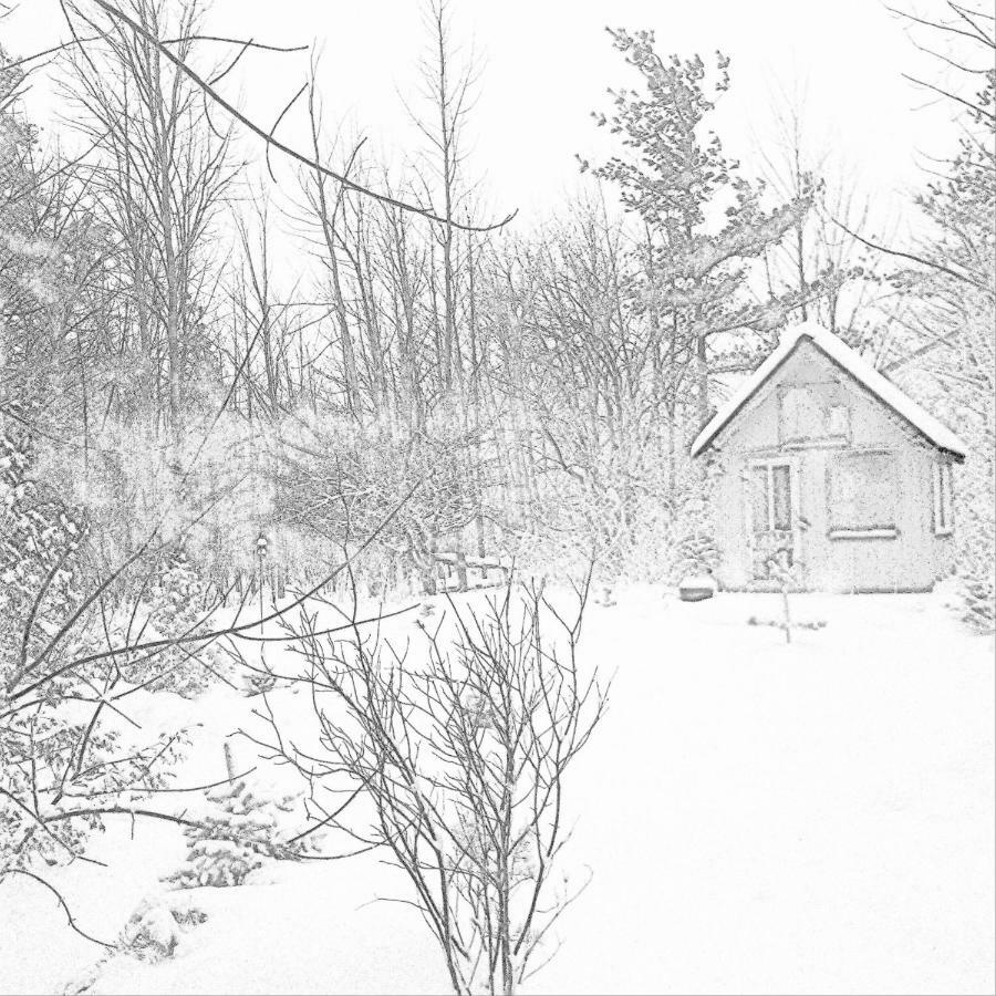 The Retreat House Blue Mountain Ξενοδοχείο Blue Mountains Εξωτερικό φωτογραφία